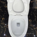 Ovs Foshan Sanitary Ware Ceramic Water Closet com auto-clean Nano Glaze